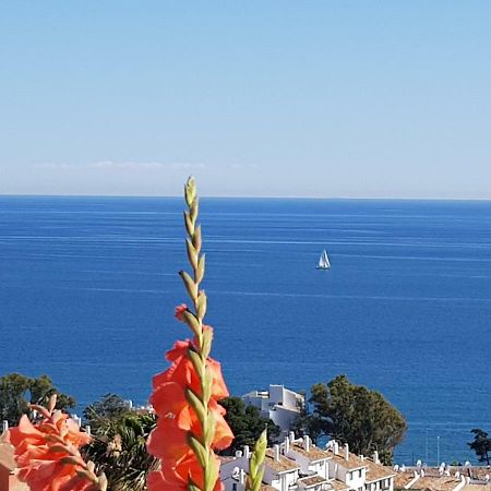 Garden Sea View Apartment Near Beach Sitio de Calahonda エクステリア 写真